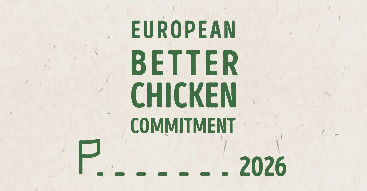 Mix-buffet-engagements-european-better-chicken-commitment